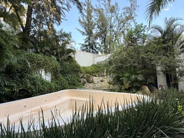 place photo 43