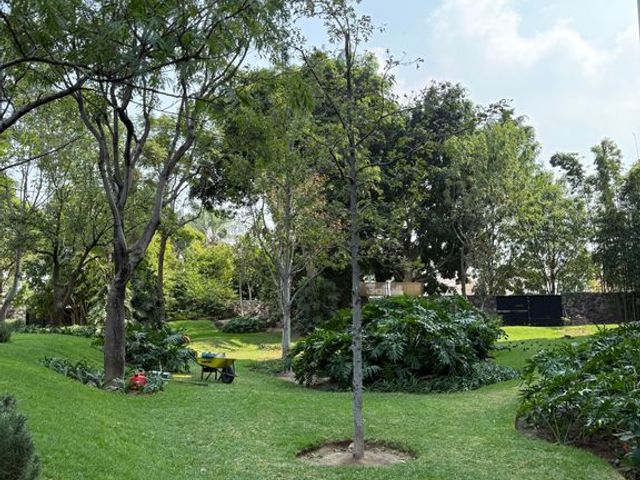 place photo 39