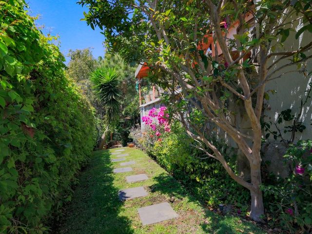 place photo 67