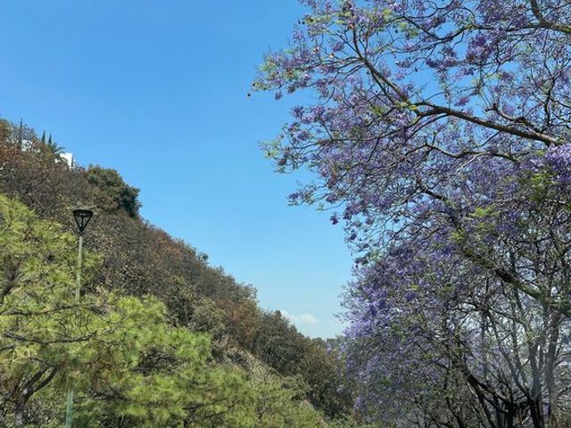 place photo 75