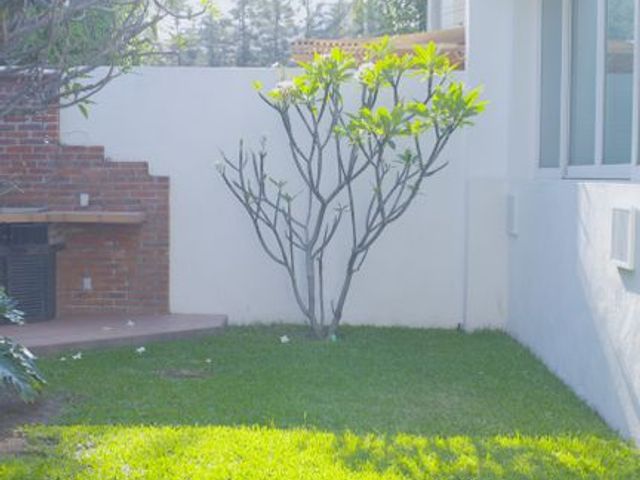 place photo 43
