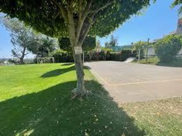 place photo 42