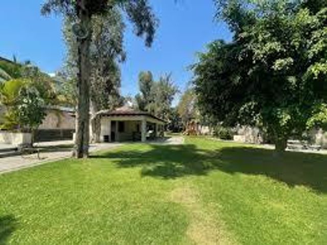 place photo 44