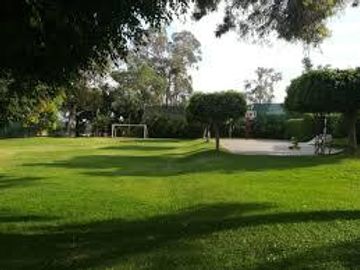 place photo 37