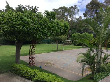 place photo 34