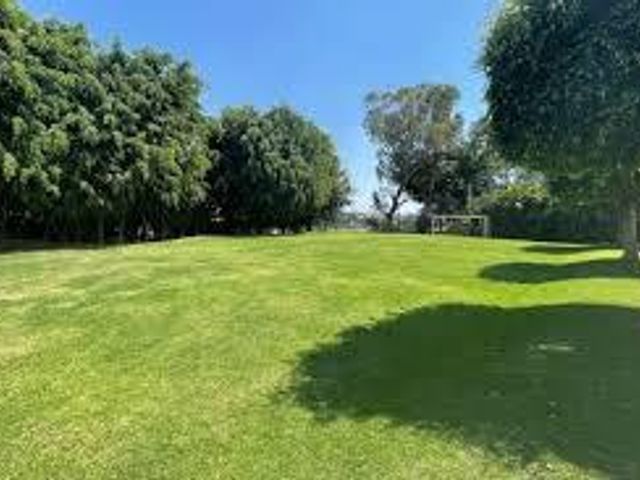 place photo 43