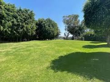 place photo 43