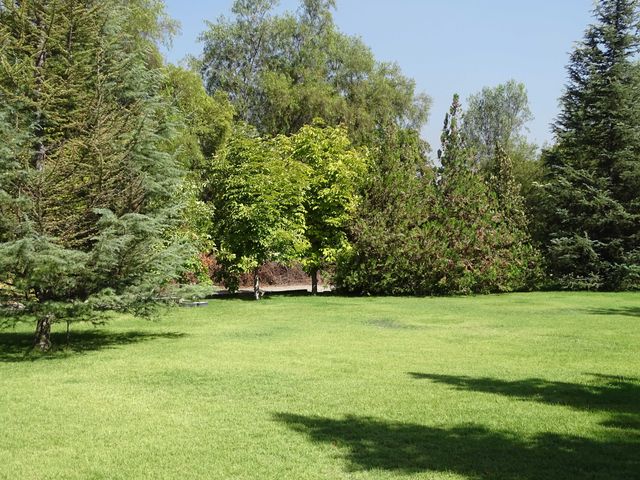place photo 19