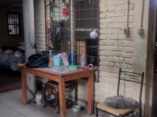 place photo 23