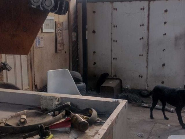 place photo 20
