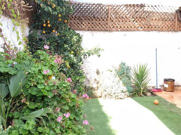 place photo 15