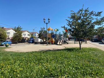 place photo 24