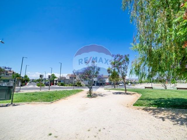 place photo 32