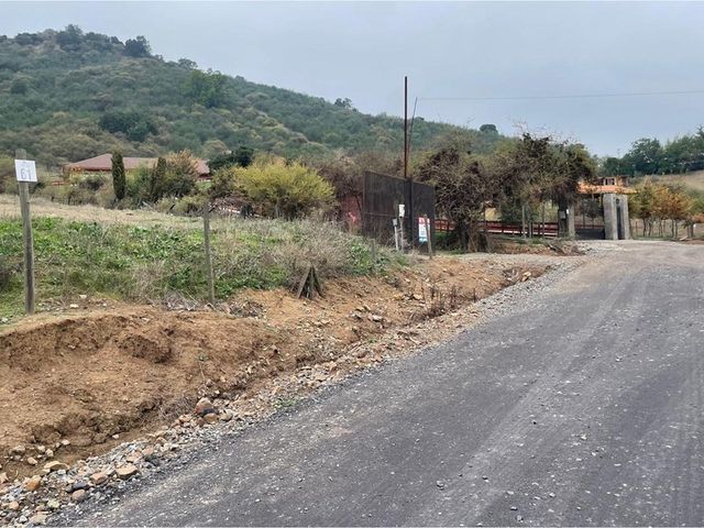 place photo 41