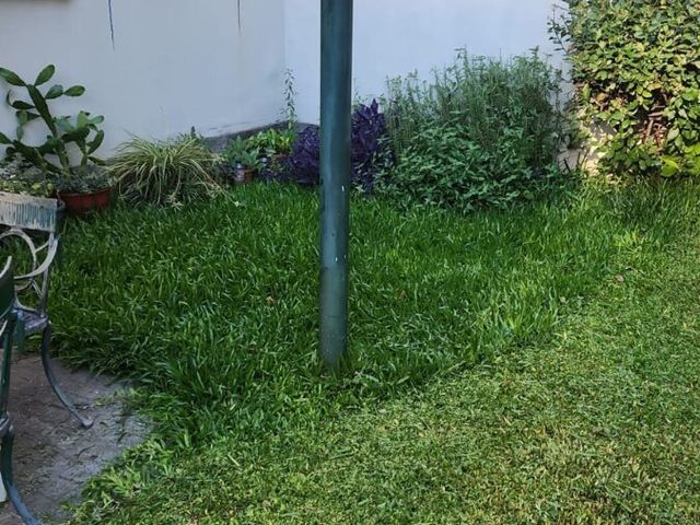 place photo 48