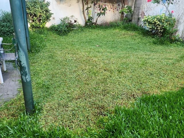 place photo 47