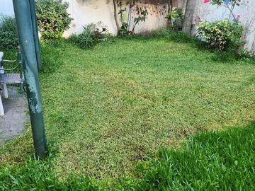 place photo 47