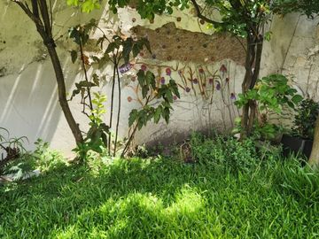 place photo 46