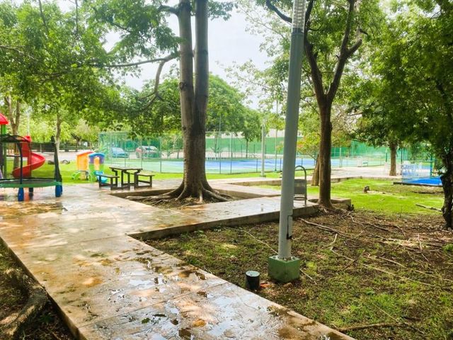 place photo 29