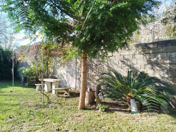 place photo 14