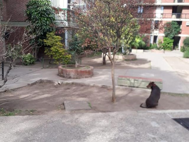 place photo 23