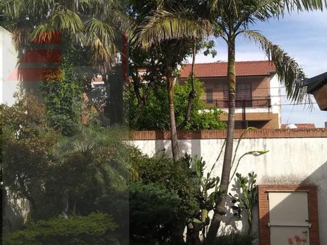 place photo 46