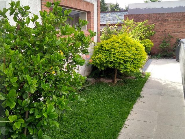 place photo 61