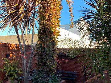 place photo 62