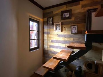 place photo 61