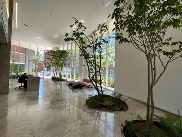 place photo 40