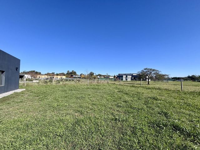 place photo 39