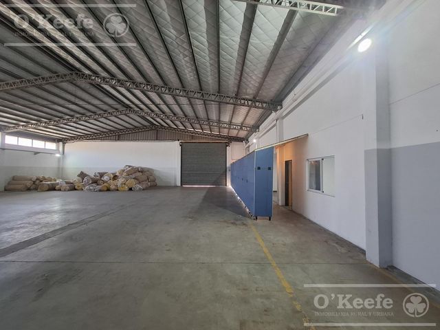 place photo 13