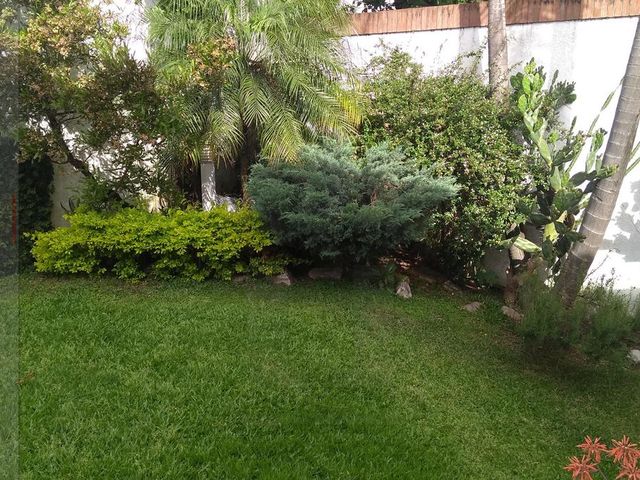 place photo 35