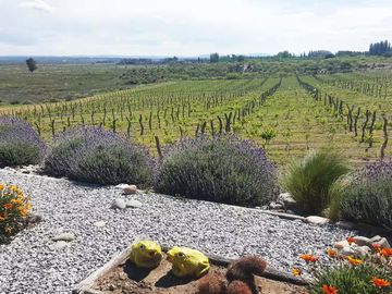 place photo 28