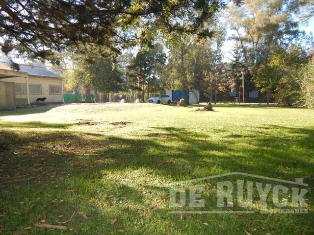 place photo 16