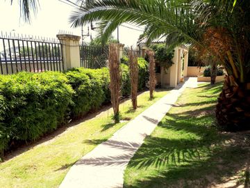 place photo 21
