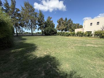 place photo 38