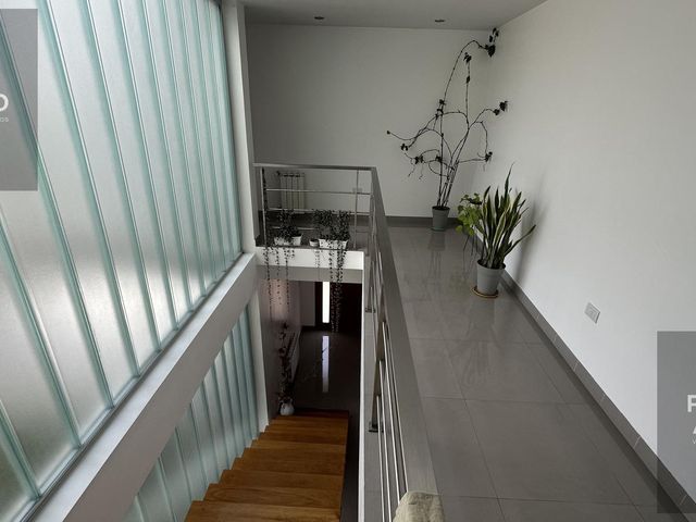 place photo 66