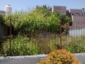 place photo 31