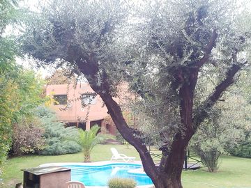 place photo 52