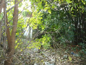 place photo 25