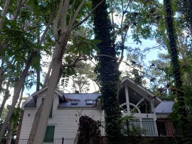 place photo 51