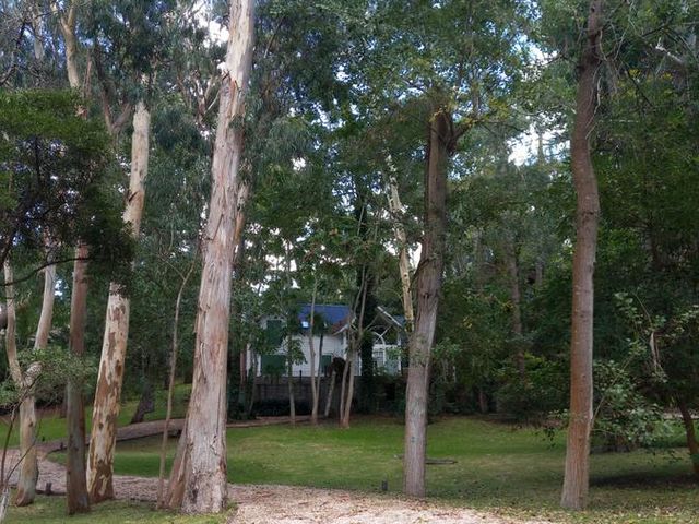 place photo 54