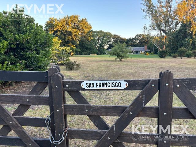 place photo 42