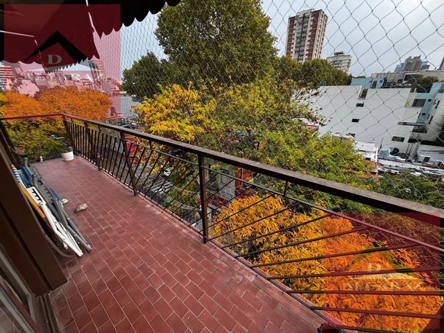 place photo 46