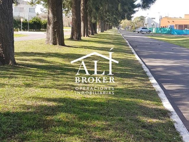 place photo 45
