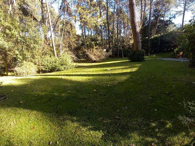 place photo 47