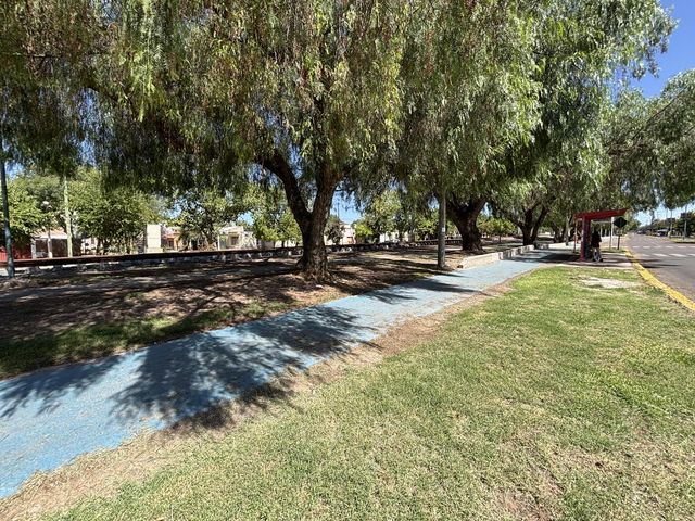 place photo 18