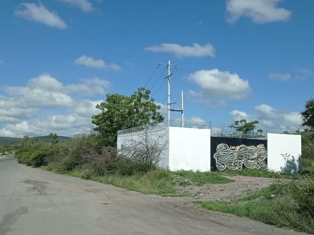 place photo 19