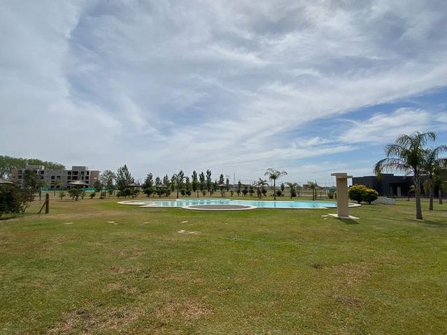 place photo 46